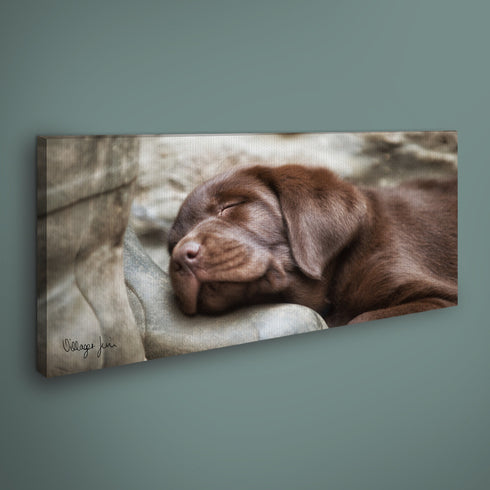 PANORAMIC - YOUNG FAITHFUL - 1.2m x 50cm